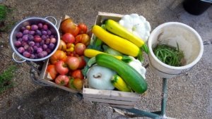 Workshopweek ‘van grond tot kont’ @ Les Gonies | Mauroux | Occitanie | Frankrijk