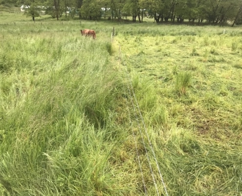 C611099E-DD88-4BD7-A350-5CE5DA8AB57D_1_105_c